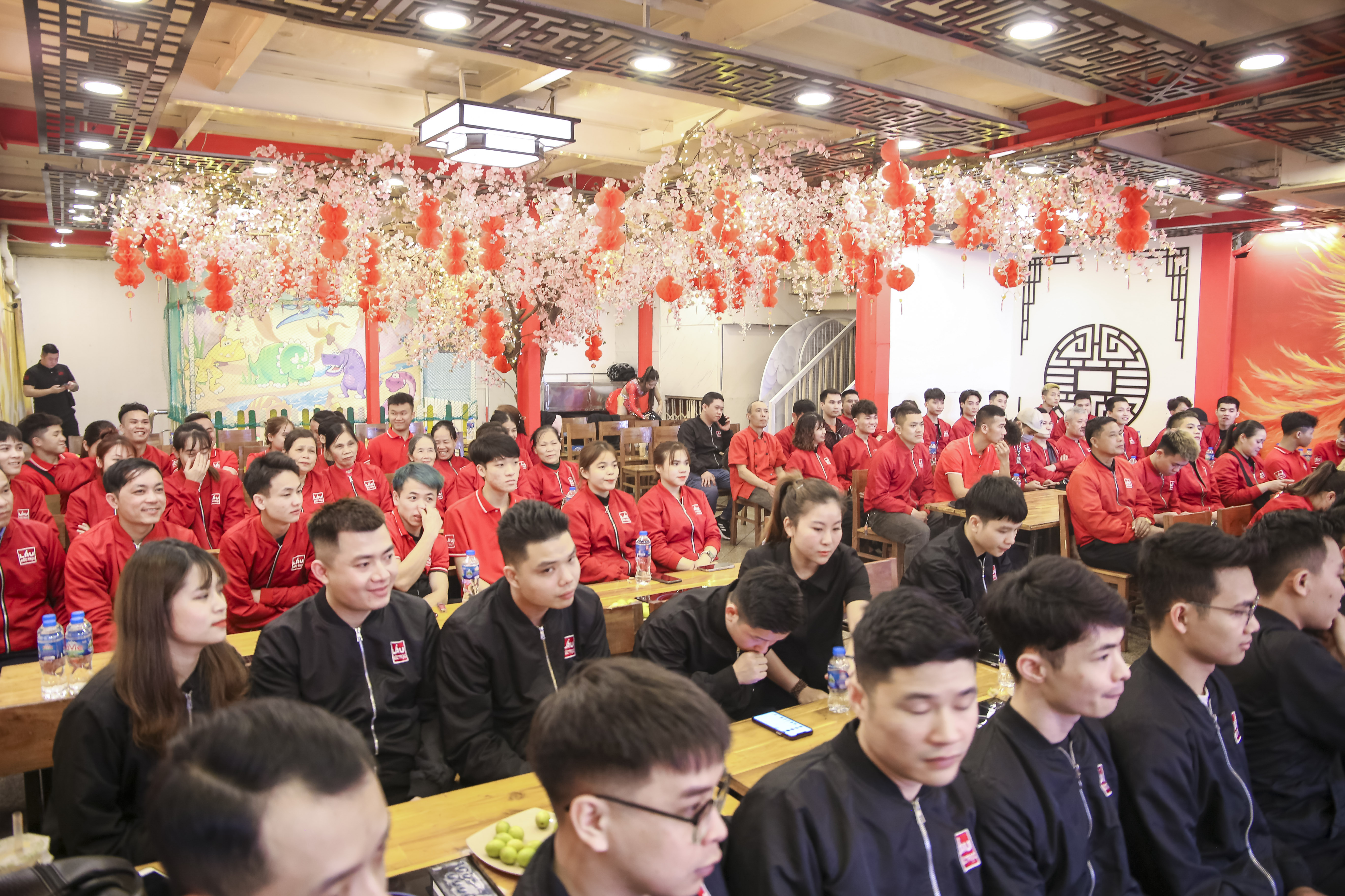lĩnh vực hoạt động